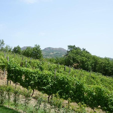 Agriturismo Ca' Del Sartu บอบบิโอ ภายนอก รูปภาพ