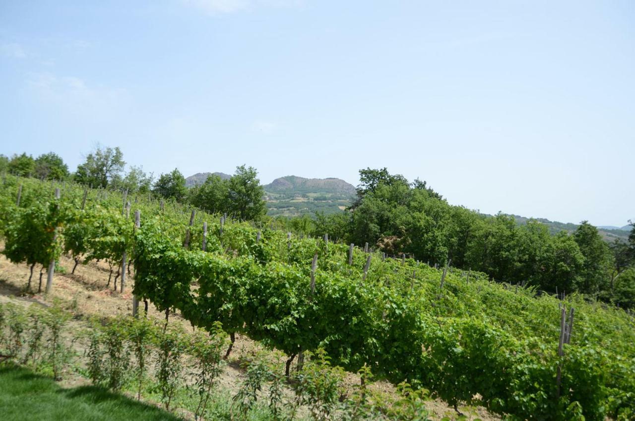 Agriturismo Ca' Del Sartu บอบบิโอ ภายนอก รูปภาพ